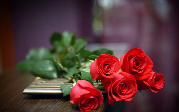 Virtual Roses of Affection 🌹🌹
